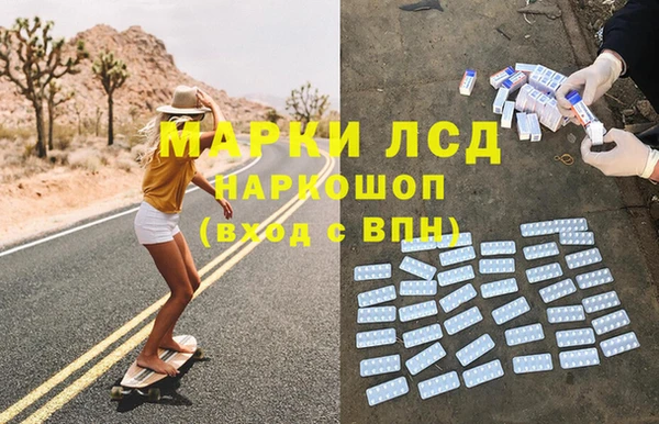 прущие грибы Алзамай