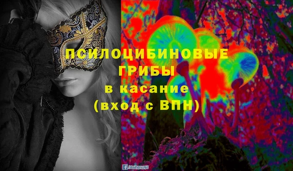 прущие грибы Алзамай