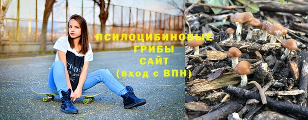 бошки Алексин