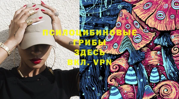 бошки Алексин