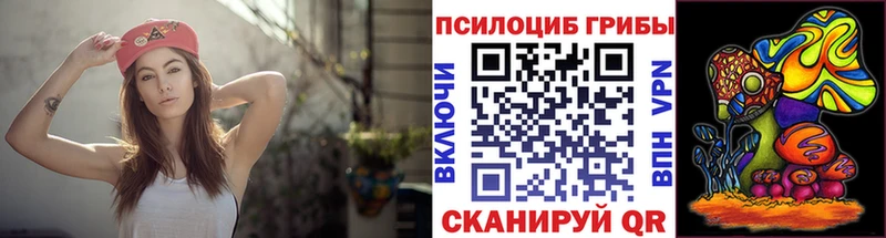 Галлюциногенные грибы Psilocybe  Петрозаводск 