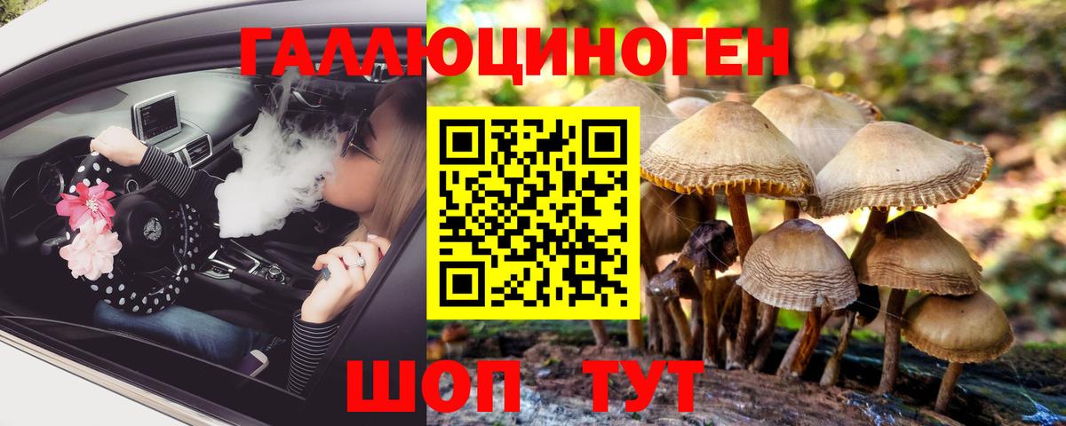 Галлюциногенные грибы мухоморы Петрозаводск