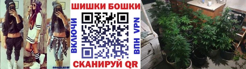 Бошки марихуана семена  что такое   Петрозаводск 